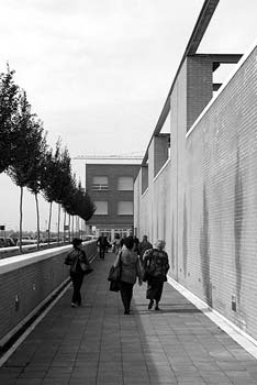 cesena1